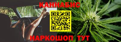 скорость Гатчина
